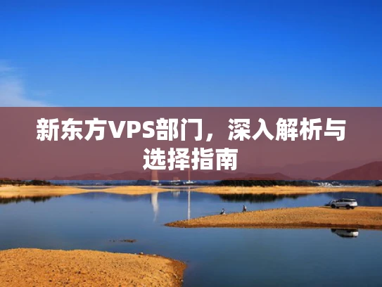 新东方VPS部门，深入解析与选择指南