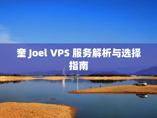 奎 Joel VPS 服务解析与选择指南