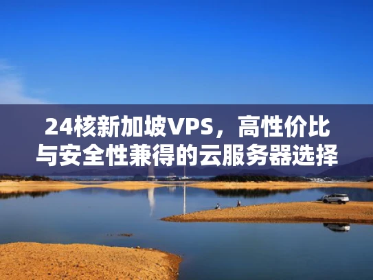 24核新加坡VPS，高性价比与安全性兼得的云服务器选择