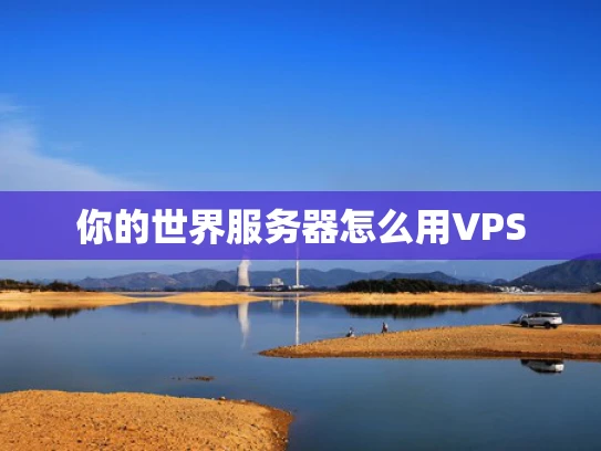 你的世界服务器怎么用VPS