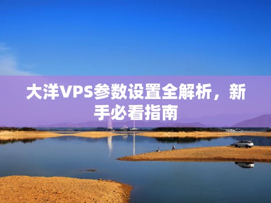 大洋VPS参数设置全解析，新手必看指南