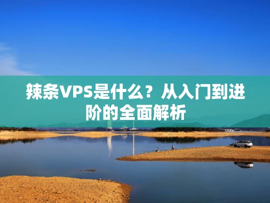 辣条VPS是什么？从入门到进阶的全面解析