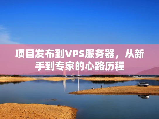 项目发布到VPS服务器，从新手到专家的心路历程