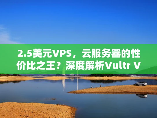 2.5美元VPS，云服务器的性价比之王？深度解析Vultr VPS服务