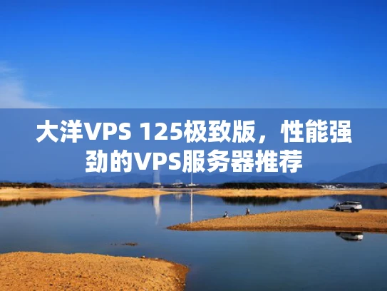 大洋VPS 125极致版，性能强劲的VPS服务器推荐