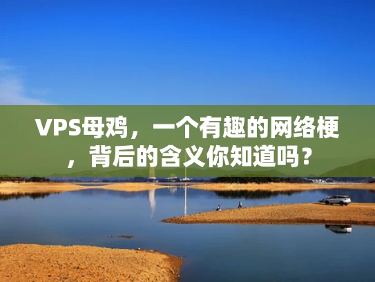 VPS母鸡，一个有趣的网络梗，背后的含义你知道吗？