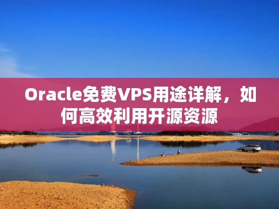 Oracle免费VPS用途详解，如何高效利用开源资源