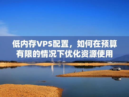 低内存VPS配置，如何在预算有限的情况下优化资源使用