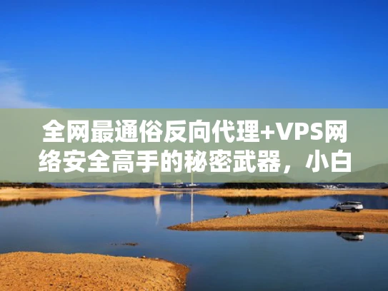 全网最通俗反向代理+VPS网络安全高手的秘密武器，小白也能看懂！