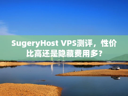 SugeryHost VPS测评，性价比高还是隐藏费用多？