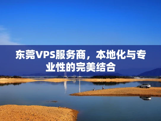 东莞VPS服务商，本地化与专业性的完美结合
