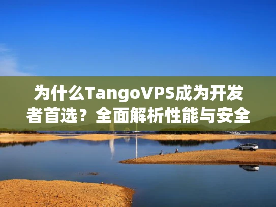 为什么TangoVPS成为开发者首选？全面解析性能与安全