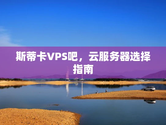 斯蒂卡VPS吧，云服务器选择指南