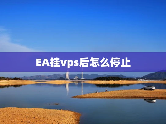 EA挂vps后怎么停止