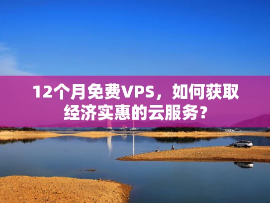 12个月免费VPS，如何获取经济实惠的云服务？