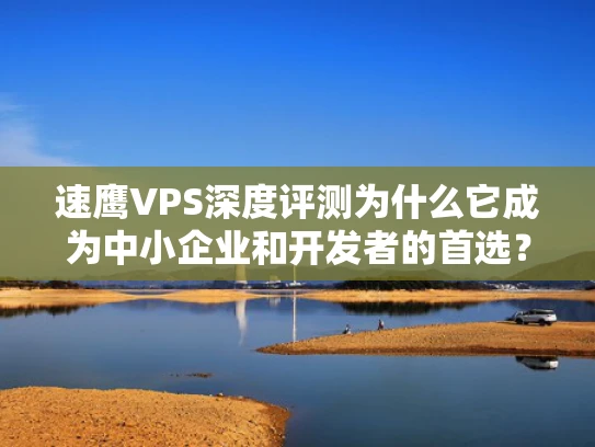 速鹰VPS深度评测为什么它成为中小企业和开发者的首选？