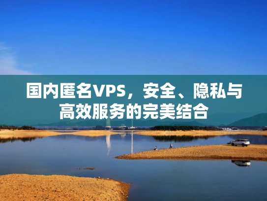 国内匿名VPS，安全、隐私与高效服务的完美结合