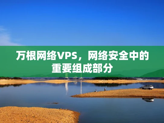 万根网络VPS，网络安全中的重要组成部分