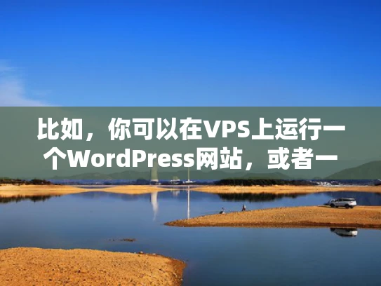 比如，你可以在VPS上运行一个WordPress网站，或者一个电商网站，甚至是一个开发环境。VPS的优势在于成本低、配置灵活，适合个人和小型企业使用