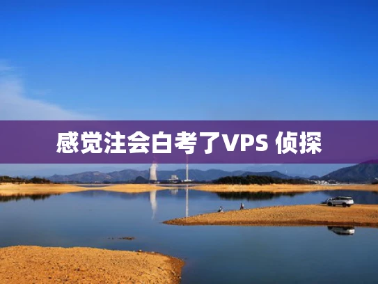 感觉注会白考了VPS 侦探