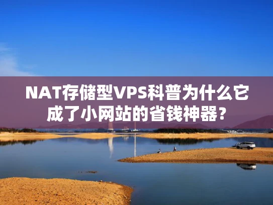 NAT存储型VPS科普为什么它成了小网站的省钱神器？