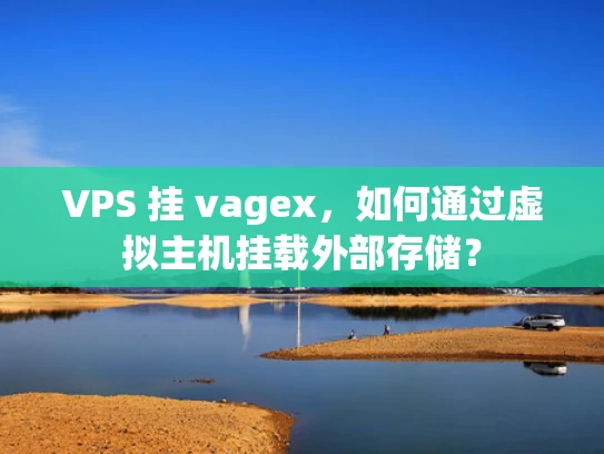 VPS 挂 vagex，如何通过虚拟主机挂载外部存储？