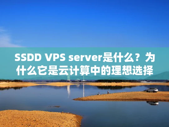 SSDD VPS server是什么？为什么它是云计算中的理想选择？