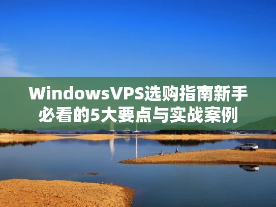 WindowsVPS选购指南新手必看的5大要点与实战案例