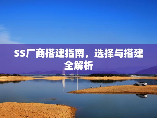SS厂商搭建指南，选择与搭建全解析
