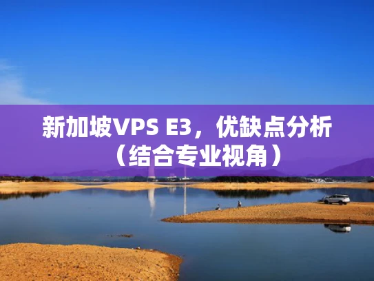 新加坡VPS E3，优缺点分析（结合专业视角）