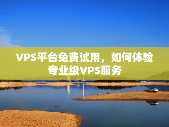 VPS平台免费试用，如何体验专业级VPS服务