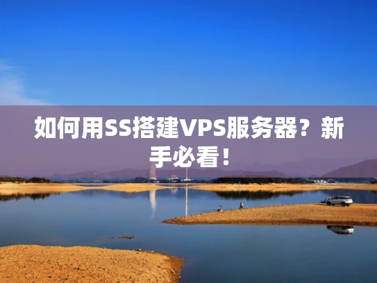 如何用SS搭建VPS服务器？新手必看！