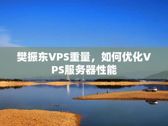 樊振东VPS重量，如何优化VPS服务器性能