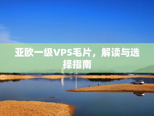 亚欧一级VPS毛片，解读与选择指南