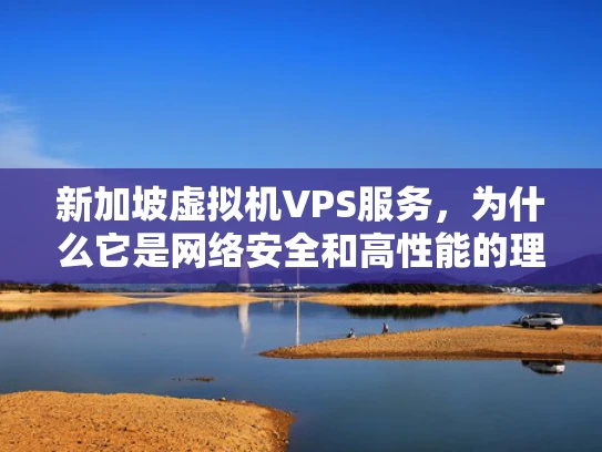 新加坡虚拟机VPS服务，为什么它是网络安全和高性能的理想选择？