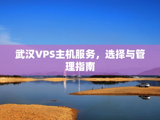 武汉VPS主机服务，选择与管理指南