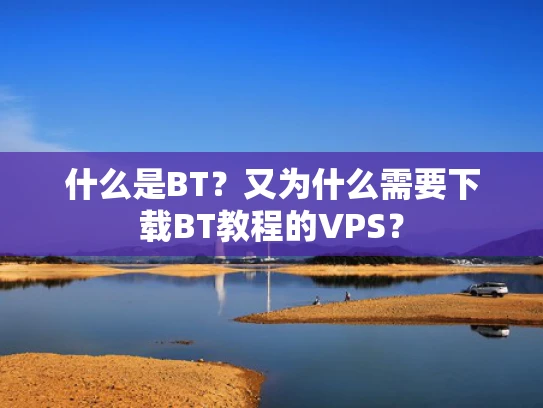 什么是BT？又为什么需要下载BT教程的VPS？