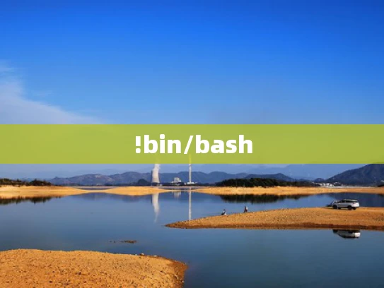 !bin/bash
