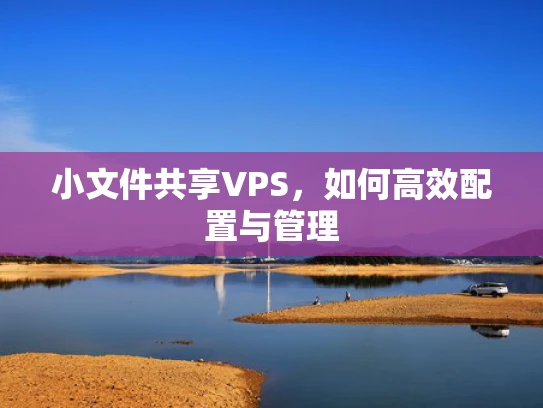 小文件共享VPS，如何高效配置与管理