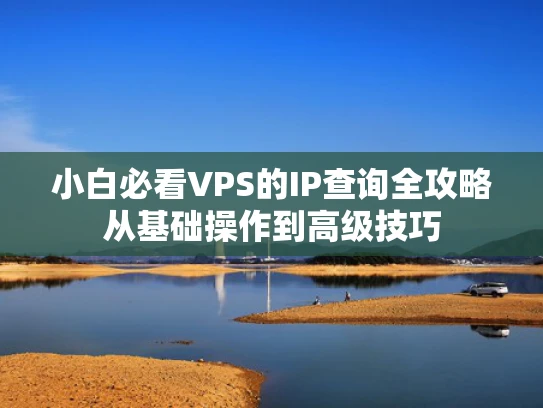小白必看VPS的IP查询全攻略从基础操作到高级技巧