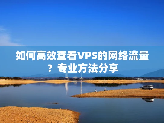 如何高效查看VPS的网络流量？专业方法分享