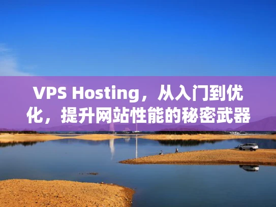 VPS Hosting，从入门到优化，提升网站性能的秘密武器