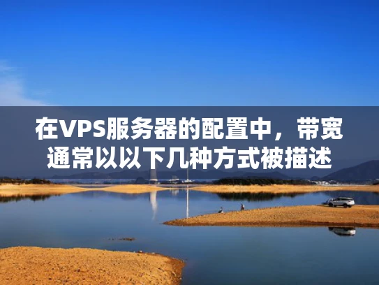 在VPS服务器的配置中，带宽通常以以下几种方式被描述