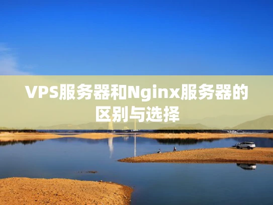 VPS服务器和Nginx服务器的区别与选择