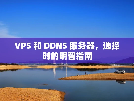 VPS 和 DDNS 服务器，选择时的明智指南