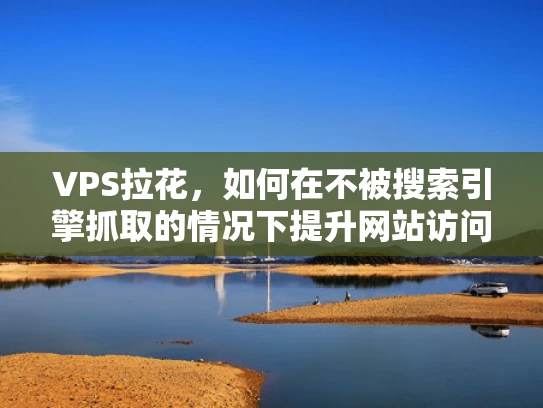 VPS拉花，如何在不被搜索引擎抓取的情况下提升网站访问速度和SEO表现