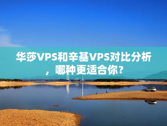 华莎VPS和辛基VPS对比分析，哪种更适合你？