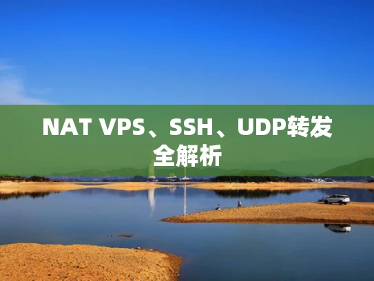 NAT VPS、SSH、UDP转发全解析