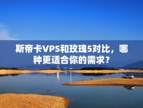 斯帝卡VPS和玫瑰5对比，哪种更适合你的需求？