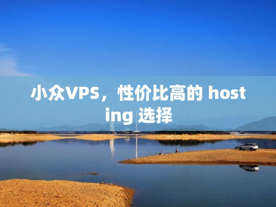 小众VPS，性价比高的 hosting 选择
